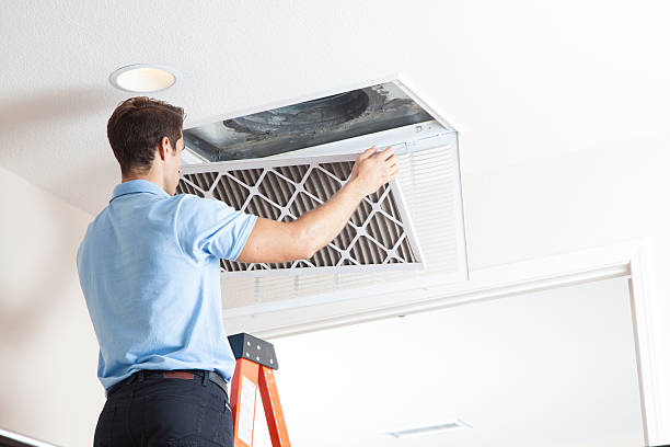 Best HVAC Air Duct Cleaning  in Chebanse, IL